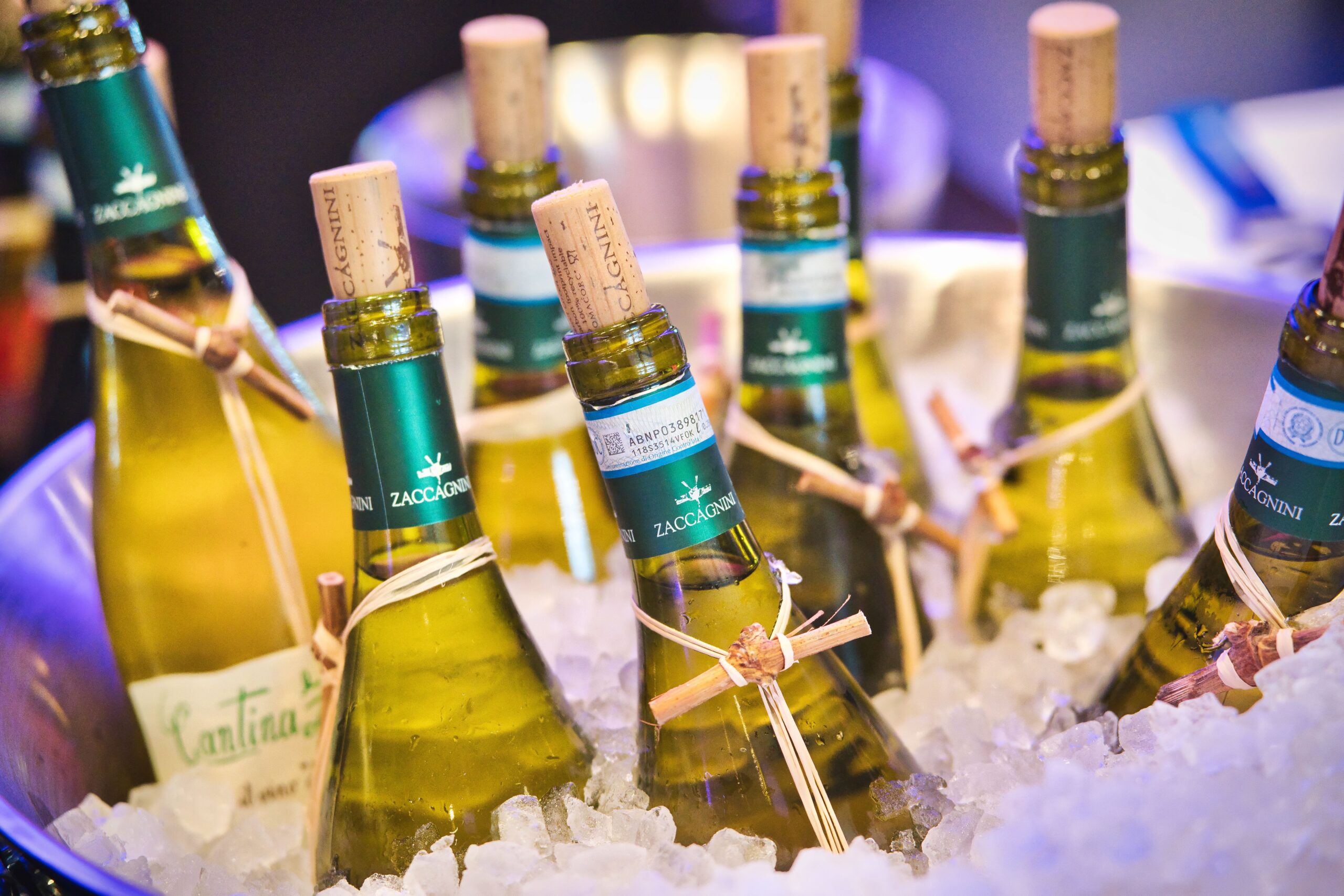 GIL08712©photo_marcgilgen_